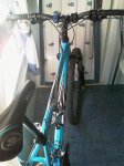 IMAG0065.jpg