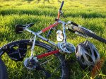 Joe Kid's Sunn Xircuit 07.JPG