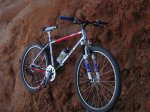 Joe Kid's Sunn Xircuit 18.JPG