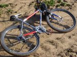 Joe Kid's Sunn Xircuit 01.JPG