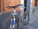 Joe Kid's Sunn Xircuit 05.JPG
