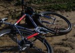 Joe Kid's Sunn Xircuit 03.JPG