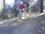 DSC00155.jpg