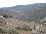 mini-IMG_2492.JPG