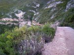 000_0139.jpg