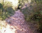000_0163.jpg