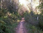 000_0164.jpg