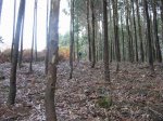 Imagen 034.jpg