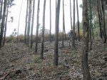 Imagen 035.jpg