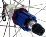 The rear hub.jpg