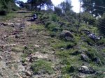 07032008221.jpg