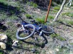 07032008224.jpg