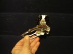 DSC07712.JPG