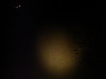 DSC07697.jpg