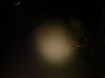 DSC07698.jpg