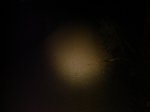 DSC07699.jpg