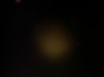 DSC07700.jpg