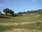 DSCN0452.jpg