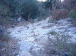 Foto3.JPG