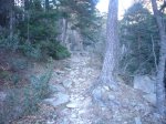 Foto5.JPG