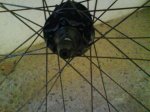 DSC00090.jpg