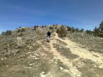 m_08032008304.jpg