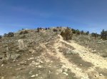 m_08032008305.jpg