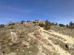 m_08032008308.jpg