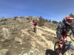 m_08032008310.jpg