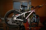 bici fefi 004 (Medium).jpg