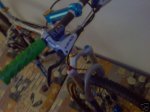 287a_12.jpg