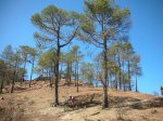 DSCN4049.JPG