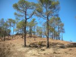 DSCN4050.JPG