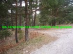 Foto30.JPG