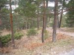 Foto31.JPG