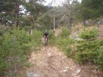 Foto34.JPG