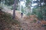 Foto43.JPG