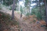 Foto45.JPG