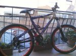 Bici2.jpg