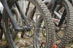 Dh San Andreu Â´08007 [640x480].jpg