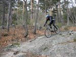 IMG_2796_redimensionar.jpg