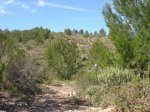 Ruta-MTB_2008-03-08-23.jpg