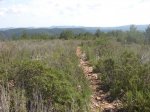 Ruta-MTB_2008-03-08-24.jpg