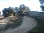 DSC05192-1.JPG