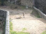 DSC05206.JPG