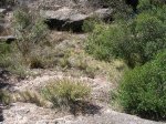 DSCN8908.JPG