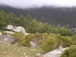 P3100035.jpg