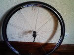 rolffront.jpg