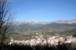 DSC02291.jpg