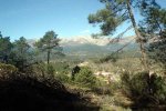 DSC02300.jpg